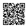 QR Code (код быстрого отклика)