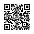 QR Code (код быстрого отклика)