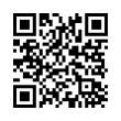 QR Code (код быстрого отклика)