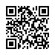 QR Code (код быстрого отклика)