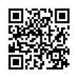 QR Code (код быстрого отклика)