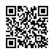 QR Code (код быстрого отклика)