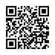 QR Code (код быстрого отклика)