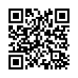 QR Code (код быстрого отклика)