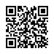 QR Code (код быстрого отклика)