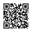 QR Code (код быстрого отклика)