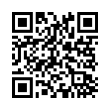 QR Code (код быстрого отклика)