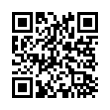 QR Code (код быстрого отклика)