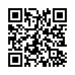 QR Code (код быстрого отклика)