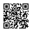 QR Code (код быстрого отклика)