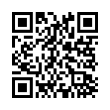 QR Code (код быстрого отклика)