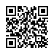 QR Code (код быстрого отклика)