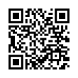 QR Code (код быстрого отклика)