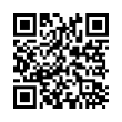 QR Code (код быстрого отклика)