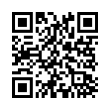 QR Code (код быстрого отклика)