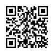 QR Code (код быстрого отклика)