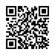 QR Code (код быстрого отклика)