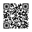 QR Code (код быстрого отклика)