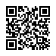 QR Code (код быстрого отклика)