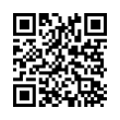 QR Code (код быстрого отклика)