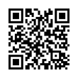 QR Code (код быстрого отклика)