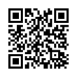 QR Code (код быстрого отклика)