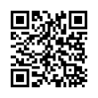 QR Code (код быстрого отклика)