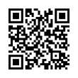 QR Code (код быстрого отклика)