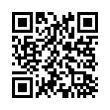 QR Code (код быстрого отклика)