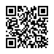 QR Code (код быстрого отклика)