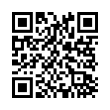 QR Code (код быстрого отклика)