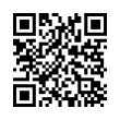 QR Code (код быстрого отклика)