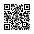 QR Code (код быстрого отклика)