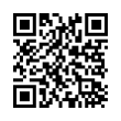 QR Code (код быстрого отклика)