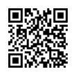 QR Code (код быстрого отклика)