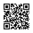 QR Code (код быстрого отклика)