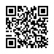 QR Code (код быстрого отклика)