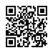 QR Code (код быстрого отклика)