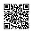 QR Code (код быстрого отклика)