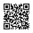 QR Code (код быстрого отклика)