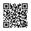 QR Code (код быстрого отклика)