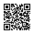 QR Code (код быстрого отклика)