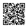 QR Code (код быстрого отклика)