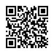 QR Code (код быстрого отклика)