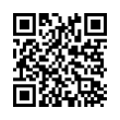 QR Code (код быстрого отклика)