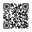 QR Code (код быстрого отклика)