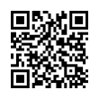 QR Code (код быстрого отклика)