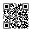 QR Code (код быстрого отклика)