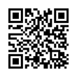 QR Code (код быстрого отклика)