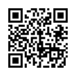 QR Code (код быстрого отклика)